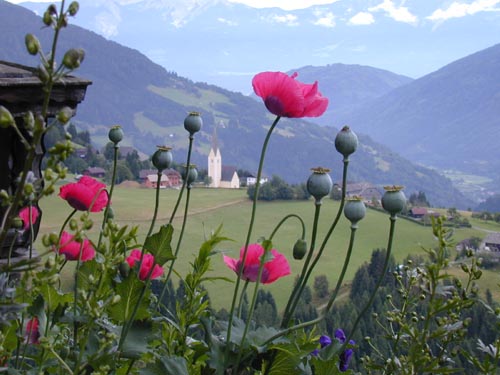 Blick vom Garten hinter'm Haus